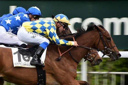 Actualités Hippiques